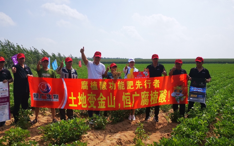 王府鎮大榆樹村